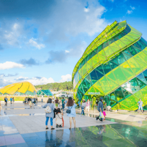 From Nha Trang: Dalat Tour 2 Days 1 Night